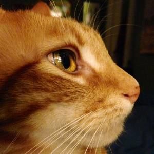 Meet your Posher, Linda